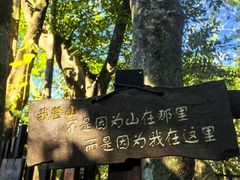 -七仙岭温泉国家森林公园