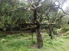 -草庵摩尼教遗址公园