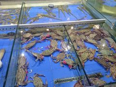 -山东八大碗山东老字号