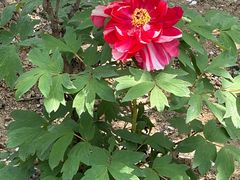 -江南大学(蠡湖校区)