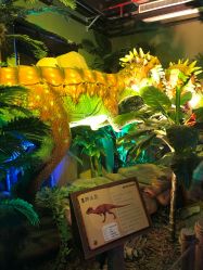 -恐龙探索乐园(磁器口店)