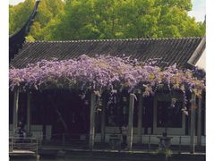 -西园寺