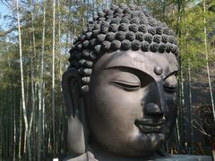 -杭州植物园