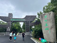 -溱湖国家湿地公园