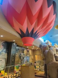 -卡通尼·Safari非洲探索乐园·生日会(金桥国际商业广场店)