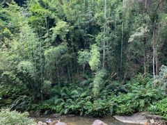 -广州白江湖森林公园