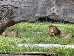 -杭州野生动物世界