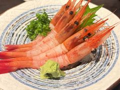 -九州酒场ひこぞう(2号店)