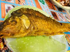 -艾力江和田馕坑烤肉店