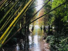 -广州市白云山风景名胜区