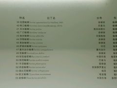 -青岛贝壳博物馆