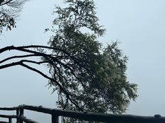 -重庆云阳龙缸景区