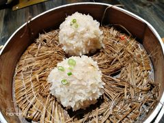 大力丸-风波庄(云蝠大厦店)
