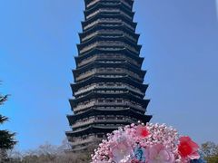 -红梅公园