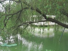 -人民公园(罗湖区)