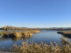 -野鸭湖国家湿地公园