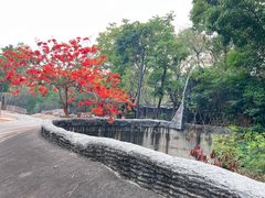 -清迈夜间动物园