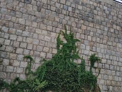 -青岛沙子口国家中心渔港