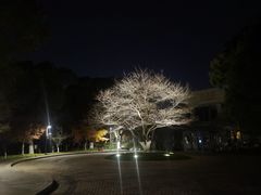 -阳澄湖费尔蒙酒店