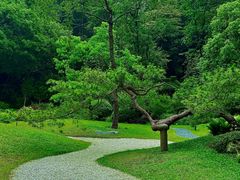 -云溪植物园