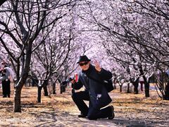 -太阳宫公园
