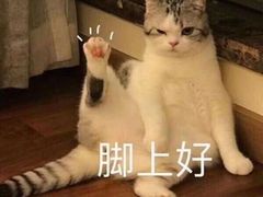 -福懋动物医院·犬猫全科·外科·重症科(杏林分院)