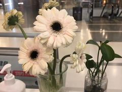 -乐刻运动健身精品馆(览秀城店)