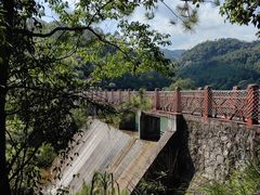 -广州白江湖森林公园