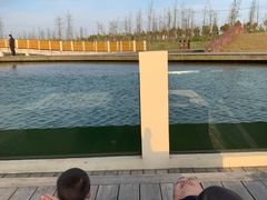 -春花秋色城市公园