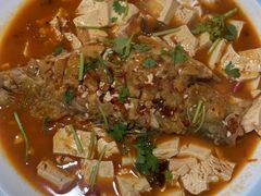 -煲来饱去冷水鱼