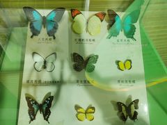 -蝴蝶泉公园