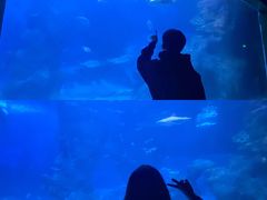 -左海海底世界