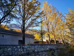 -阳台山自然风景区