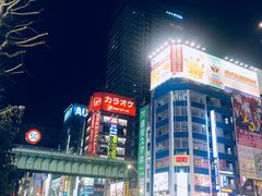 -秋叶原电器街