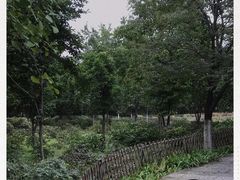 -宝鸡植物园