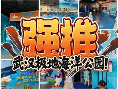 -海合安武汉极地海洋公园
