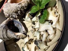 -鲜螺湾(鹏欣丽都店)