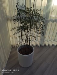 -HEYAN荷妍专业脱毛连锁机构