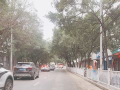 -延安杨家岭革命旧址