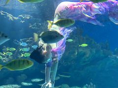 -海合安武汉极地海洋公园
