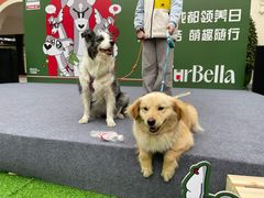 -瑞鹏宠物医院·超声·骨科·奇麟分院(蜀都万达店)