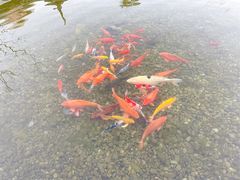 -嘉兴清池酒店温泉