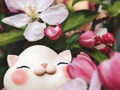 -创艺无限·赵春香微妙艺术馆