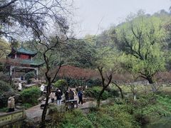 -岳麓山风景名胜区