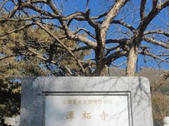 -潭柘寺景区