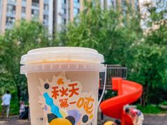-CoCo都可(铁西万达店)