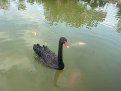 -森波拉奇妙世界