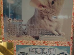 -龙猫仔乐园(惠福东路店)