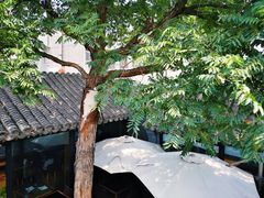 -SUSU·苏苏(四合院创始店)