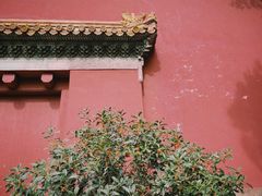 -北京市劳动人民文化宫(太庙)